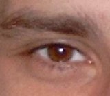 eyes5p.jpg (3,7 KB)